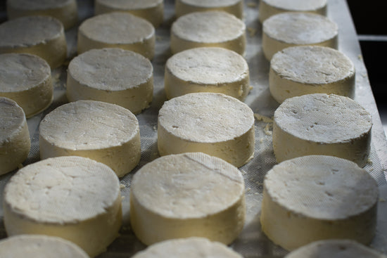 How is cheese made?  Step by step guide to cheese making